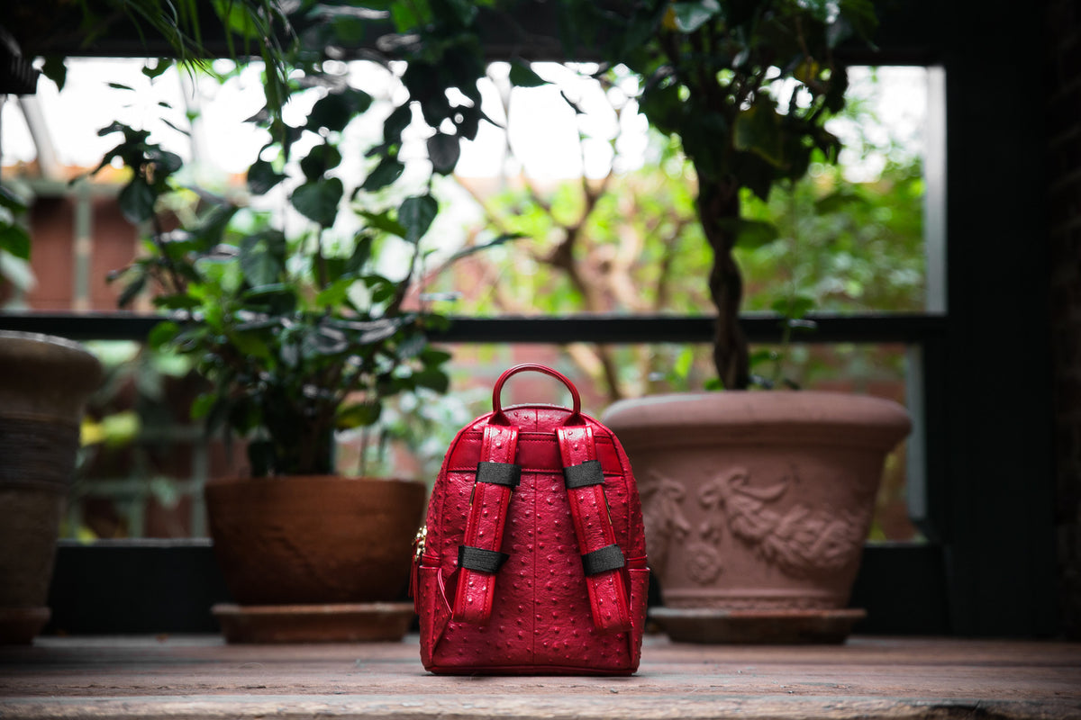 The Crown Collection (Mini) Red Backpack