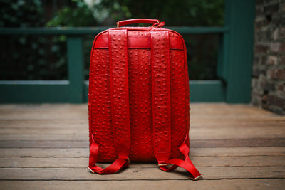 The Crown Collection (Large) Red Backpack